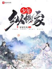 少年纵横家封面