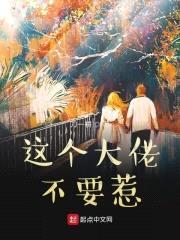 这个大佬不要惹封面