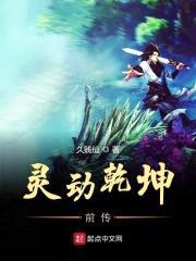 灵动乾坤前传封面