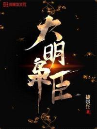 大明枭臣封面