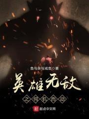 英雄无敌之伺机而动封面