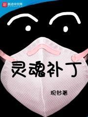 灵魂补丁封面