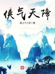 侠气天降封面
