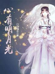 心有明月光封面