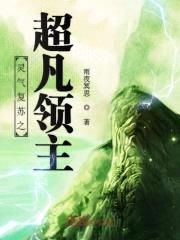 灵气复苏之超凡领主封面