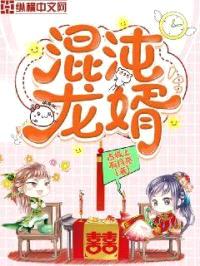 混沌龙婿封面