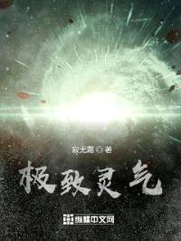 极致灵气封面