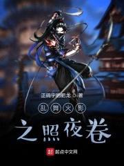 乱舞火影之照夜卷封面