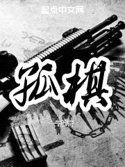 孤棋封面