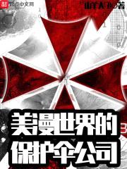 美漫世界的保护伞公司封面