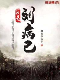 我是刘病已封面