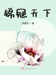 锦冠天下封面