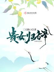 贵女归辞封面