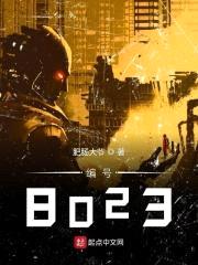 编号8023封面