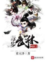 网游之毒步武林封面