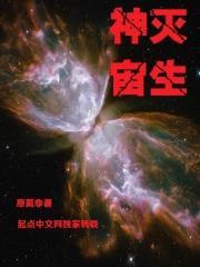 神灭宙生封面