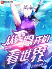 从雾隐开始看世界封面
