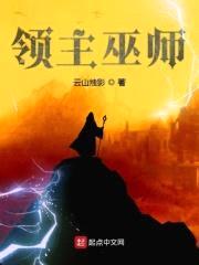 领主巫师封面