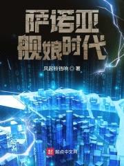 萨诺亚舰娘时代封面