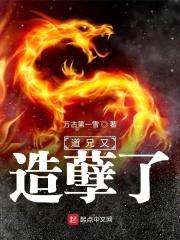 道兄又造孽了封面