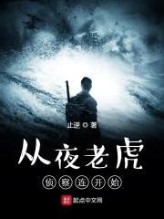 从夜老虎侦察连开始封面