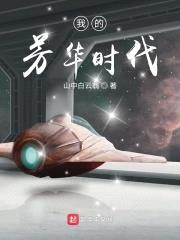 我的芳华时代封面