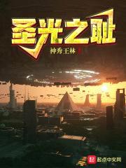圣光之耻封面