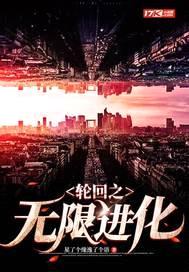 轮回之无限进化封面