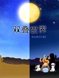 双叠世界封面