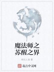 魔法师之苏醒之界封面
