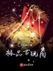 极品古玩商封面