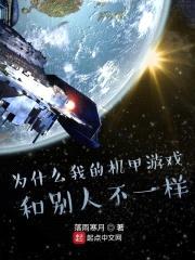 为什么我的机甲游戏和别人不一样封面