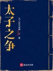 太子之争封面