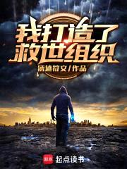 我打造了救世组织封面