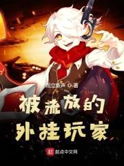 被流放的外挂玩家封面
