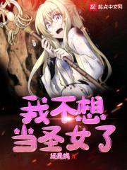 我不想当圣女了封面
