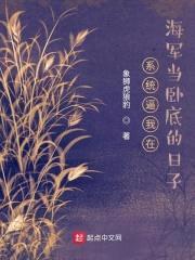 系统逼我在海军当卧底的日子封面