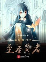 绝世唐门之至圣贤者封面
