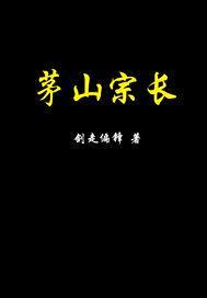 茅山宗长封面