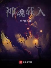 神魂载入封面