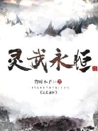 灵武永恒封面