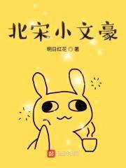 北宋小文豪封面