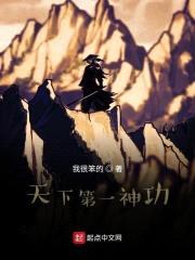 天下第一神功封面