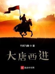 大唐西进封面