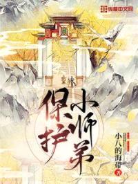 保护小师弟封面