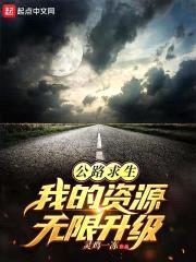 公路求生：从升级资源开始封面