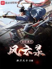 剑花满天风云录封面