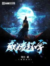 威凌环宇封面