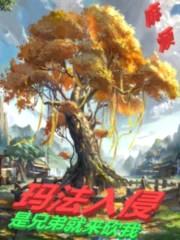 法师传奇3：玛法入侵封面