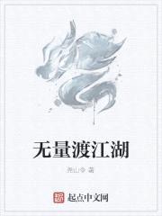 无量渡江湖封面